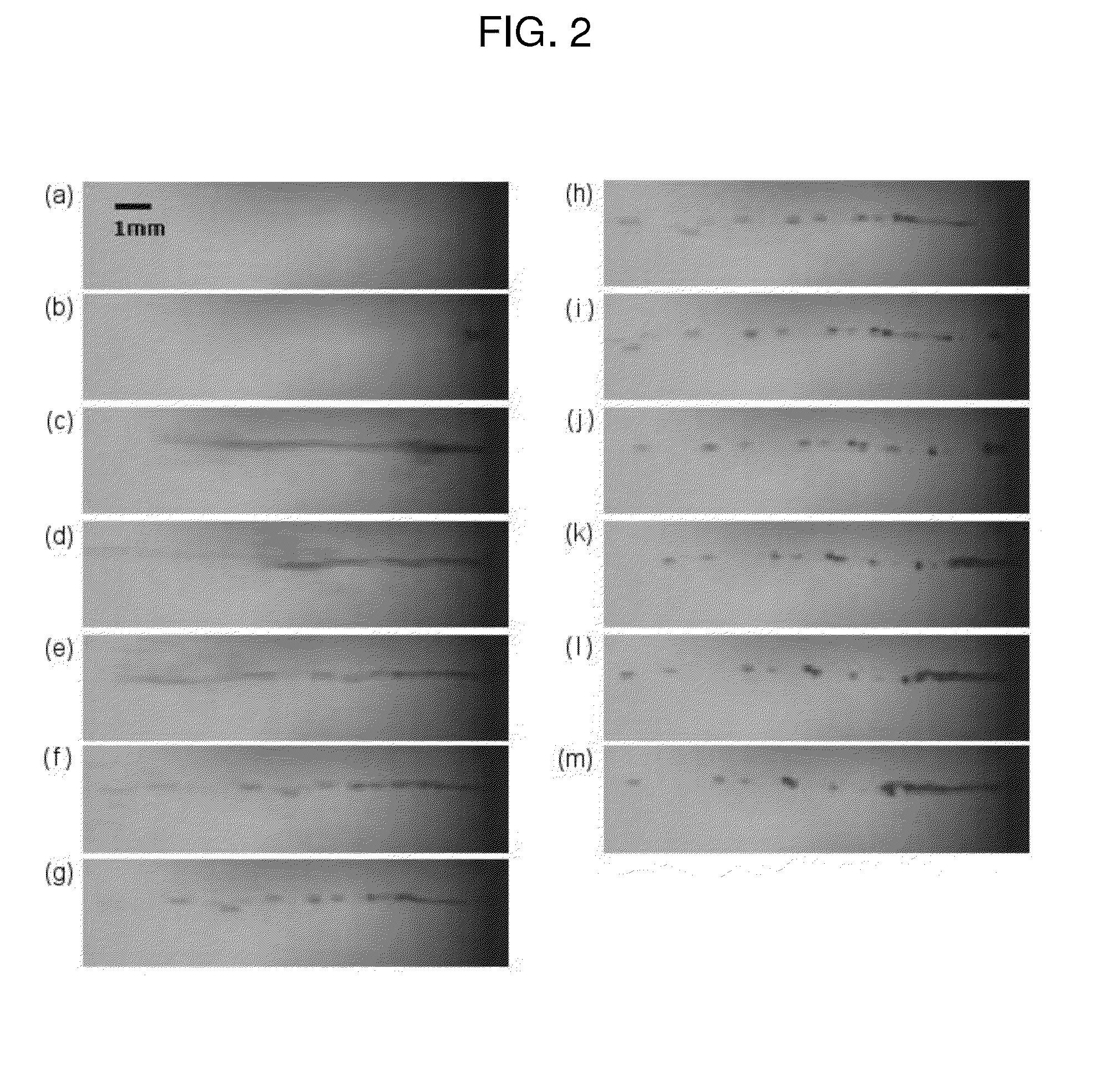 Microjet drug delivery system and microjet injector