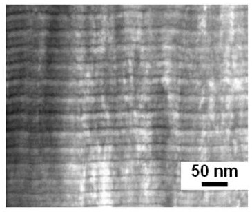 Wear-resistant TiSiCN nano-composite multilayer coating and preparation method thereof