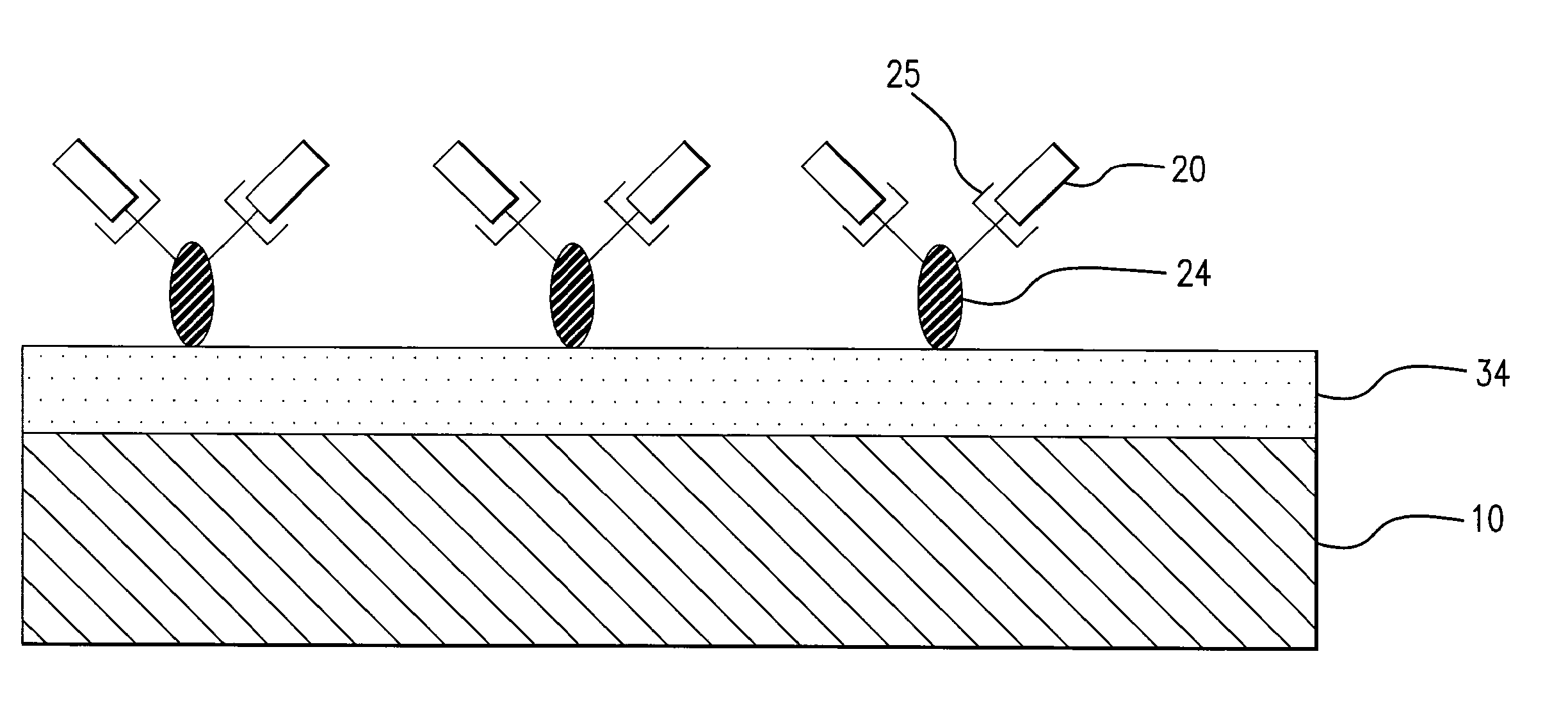 Medical devices having a coating for promoting endothelial cell adhesion