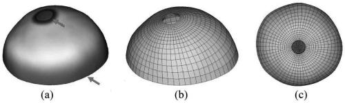 Finite element modeling method of anisotropic patient-specific sclera based on harmonic field