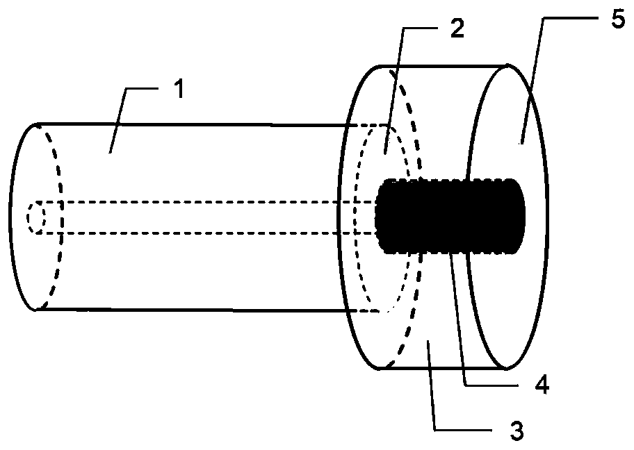 Fabry-Perot sensor based on silicon core optical fiber and preparation and application thereof