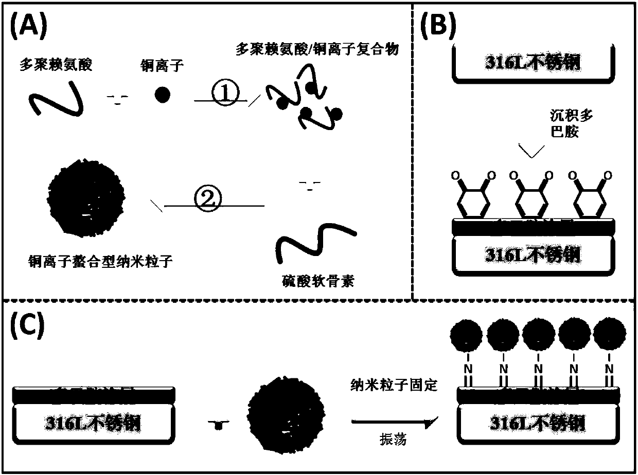 A kind of preparation method of copper ion chelating type nano particle biological coating