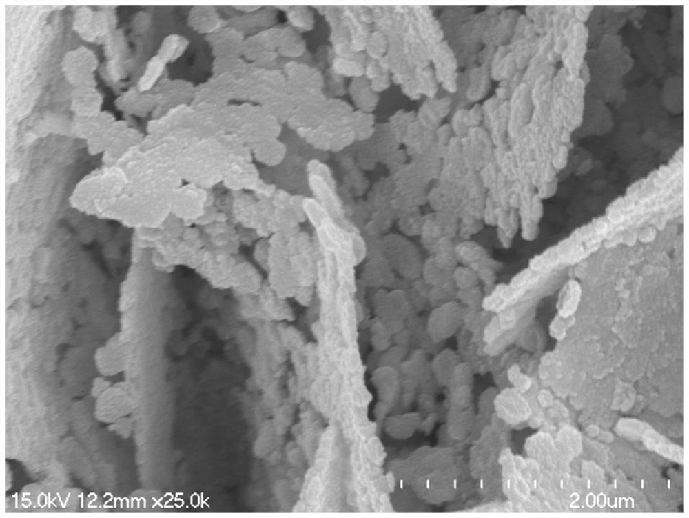 A kind of nickel foam composite material and its preparation method and its application in photoelectric catalytic removal of water pollutants