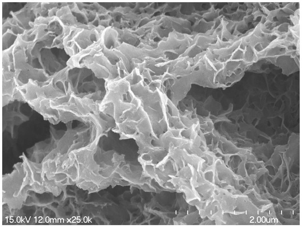 A kind of nickel foam composite material and its preparation method and its application in photoelectric catalytic removal of water pollutants