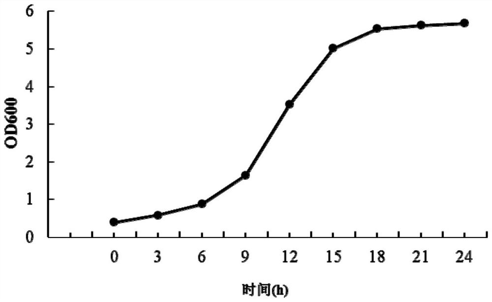 A strain of Lactobacillus plantarum that degrades nitrite and has the ability to inhibit ace