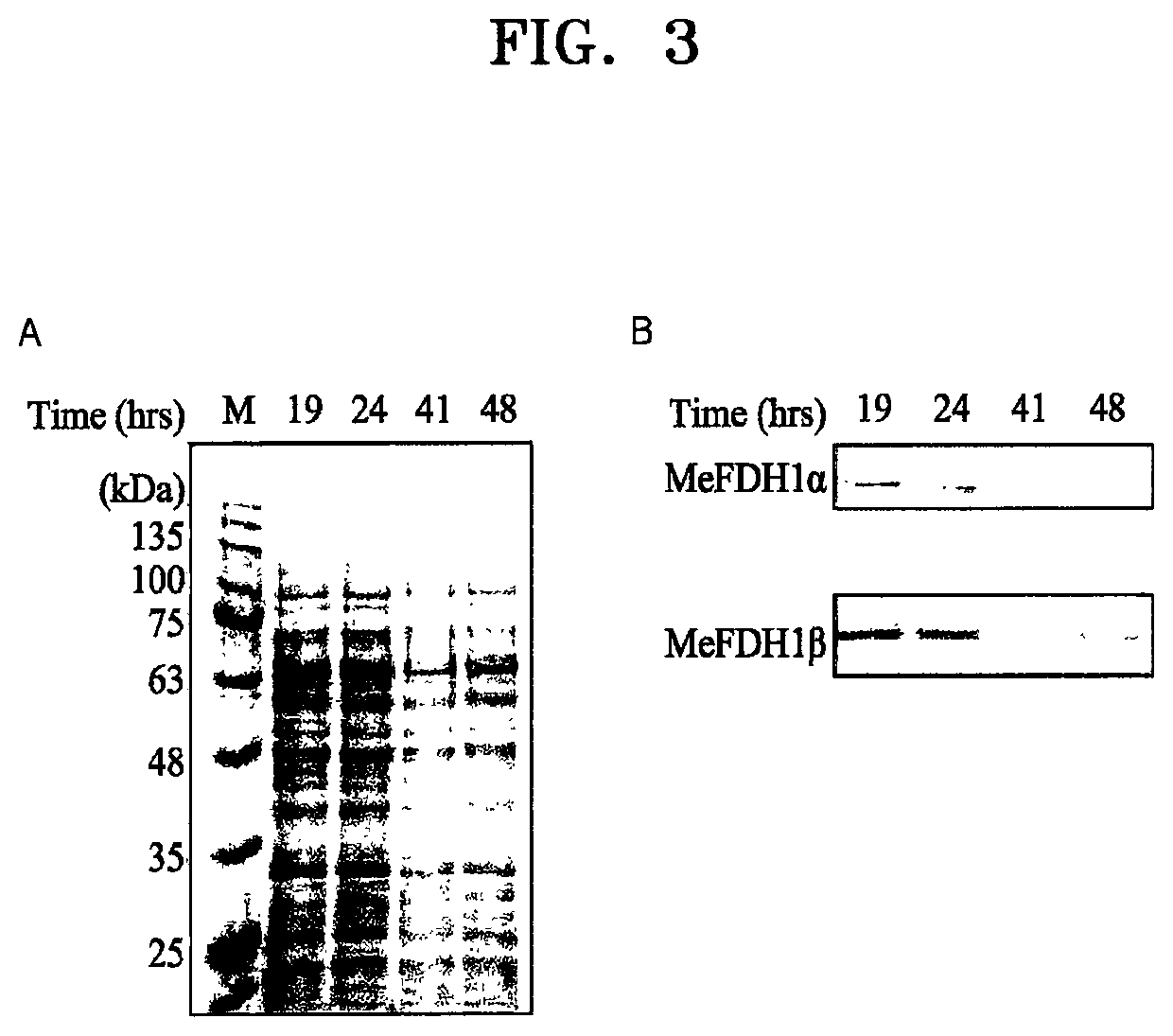 Recombinant microorganism and method for production of formic acid by using same
