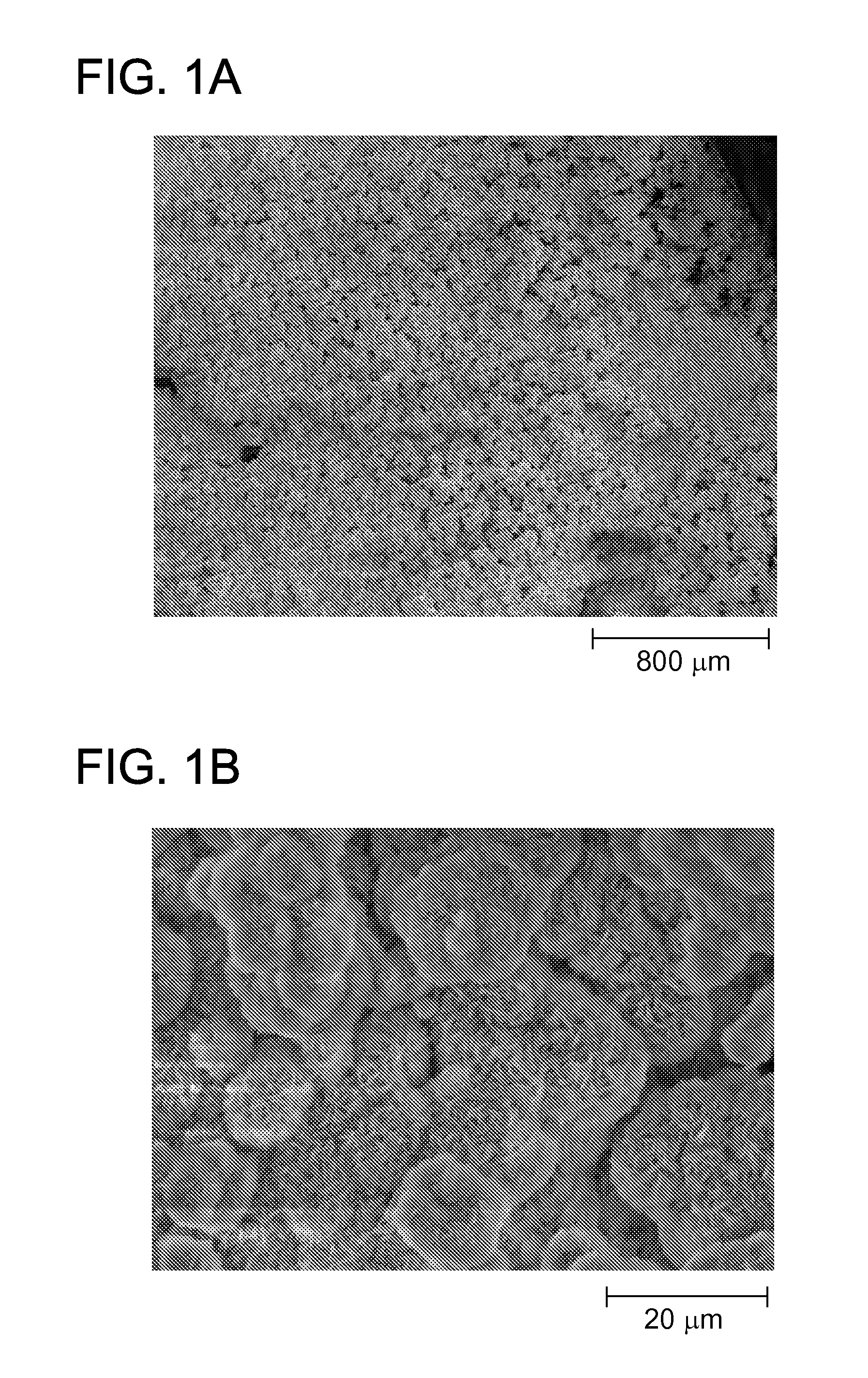 Selection of platelet rich plasma components via mineral binding