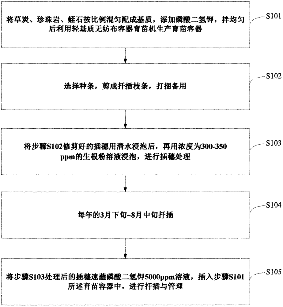 Rapid propagation method for Tamarix chinensis cuttage