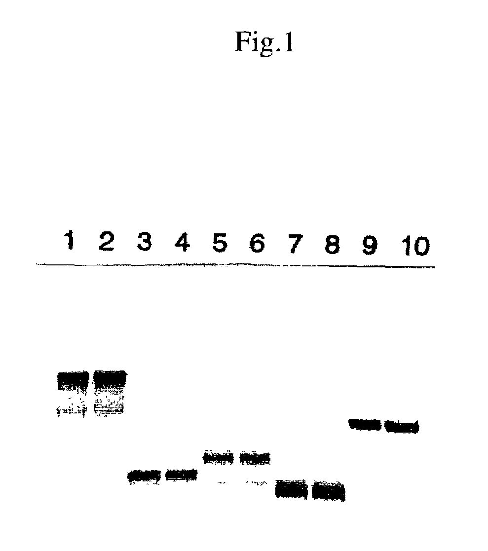 Method for detecting proteins under mutual interaction