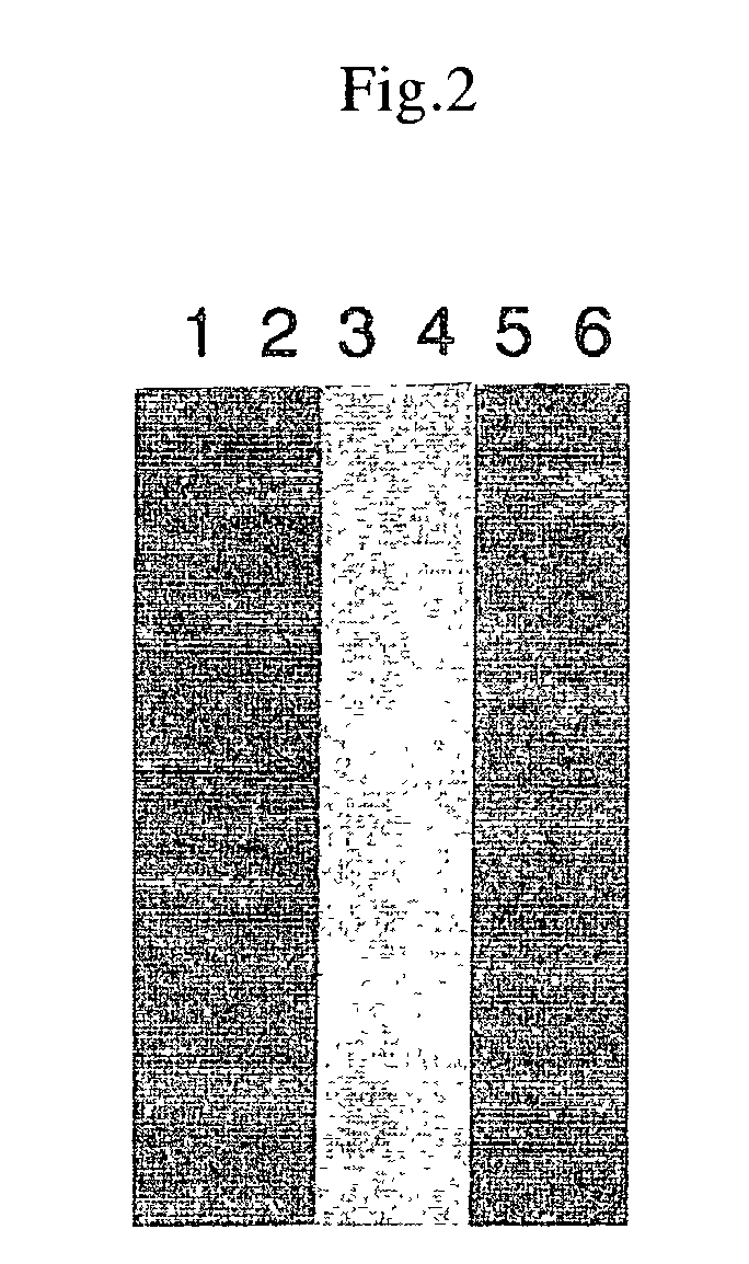 Method for detecting proteins under mutual interaction