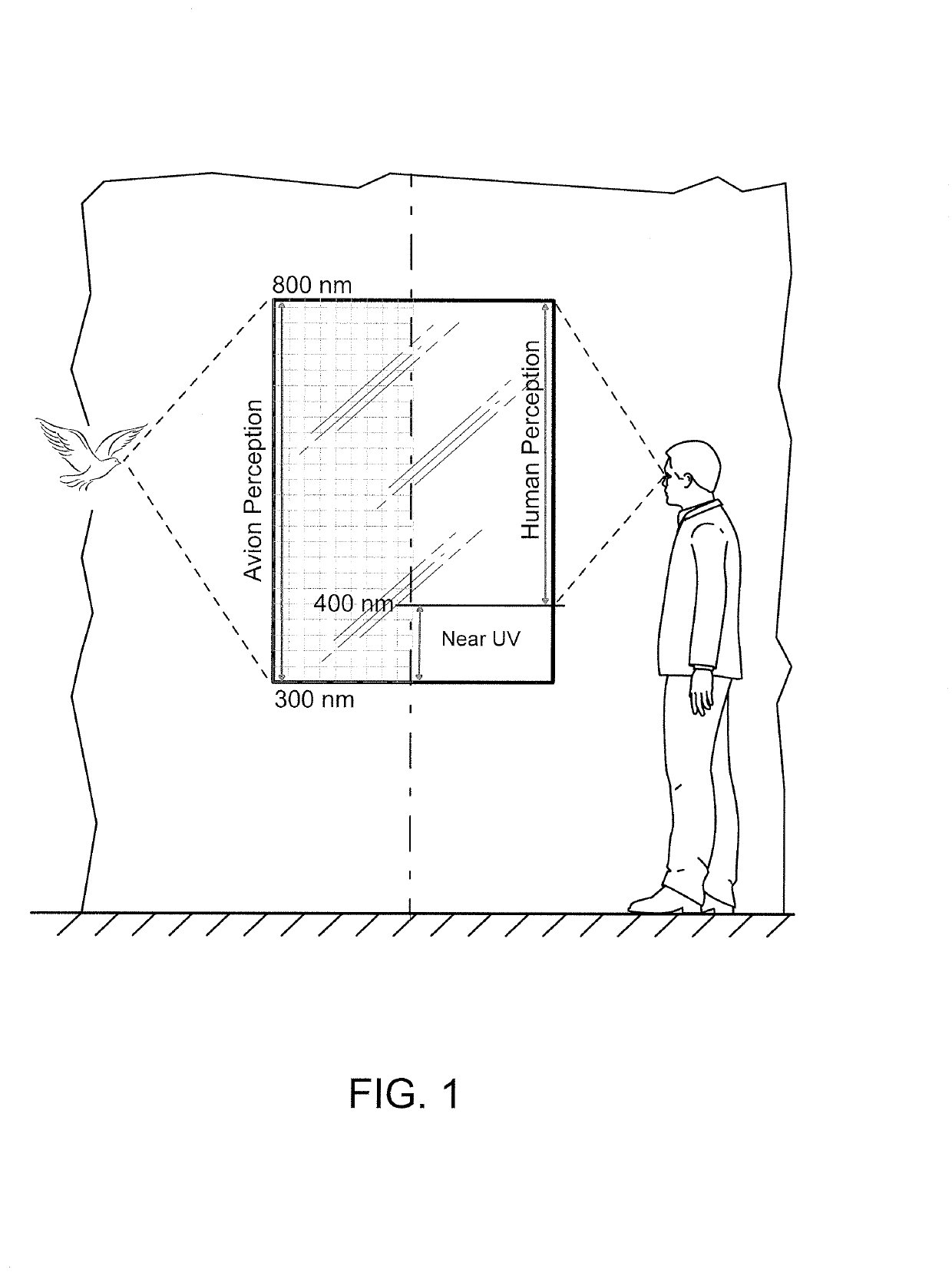 System and method for reducing bird collisions with glazing