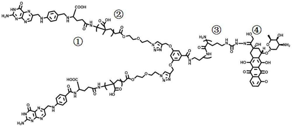 Adriamycin-containing macromolecule drug