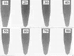 Rhotanium nano rod with good near-infrared light absorption performance and photoelectrocatalysis performance and preparing method of rhotanium nano rod