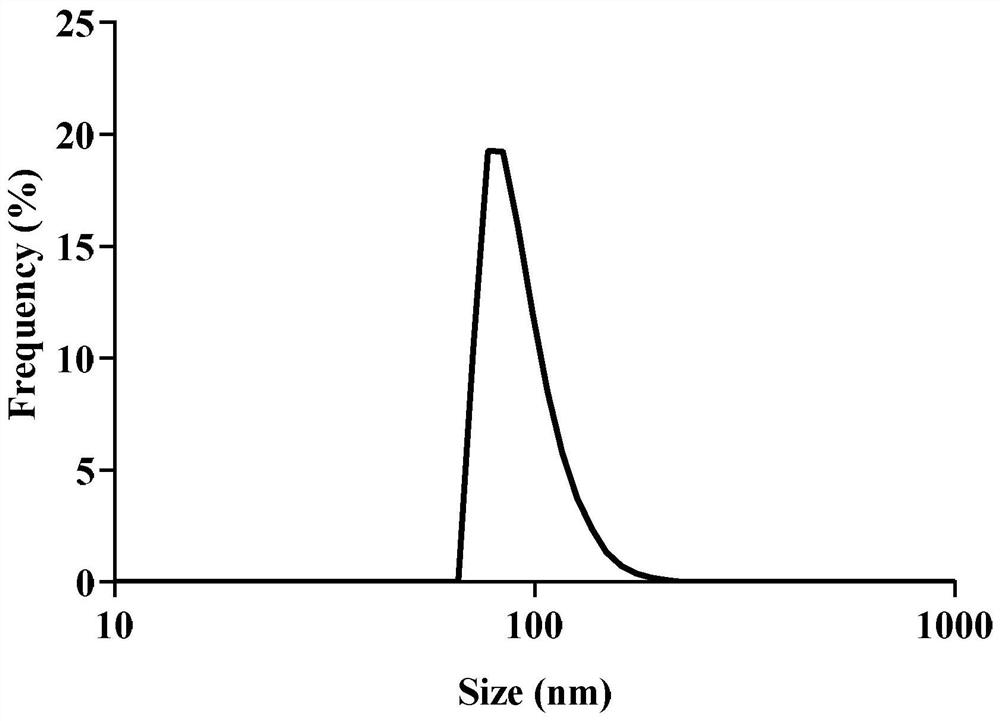 Method for promoting arginine to quickly release NO by black phosphorus