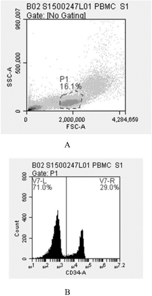 Irrigating solution, enzymatic hydrolysate and method for isolating placenta hematopoietic stem cells