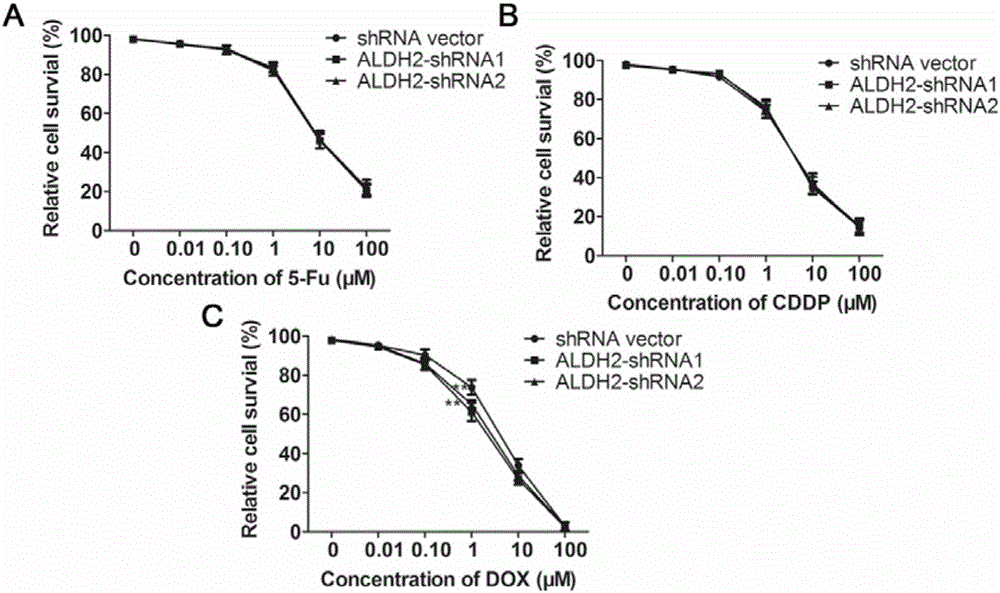 Novel application of acetaldehyde dehydrogenase 2 gene