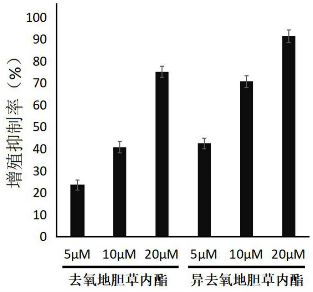 Application of a kind of deoxydicholide or isodeoxydicholide in the preparation of anti-pulmonary fibrosis medicine