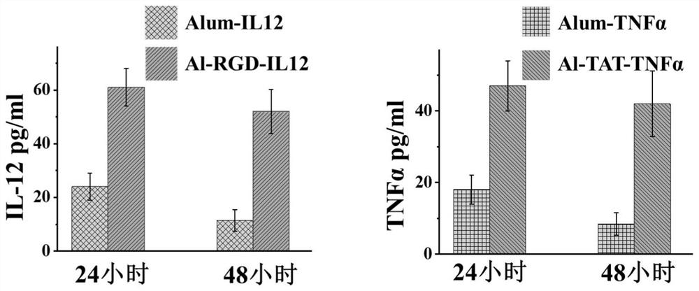 Aluminum nanocrystal composite immune drug as well as preparation method and application thereof