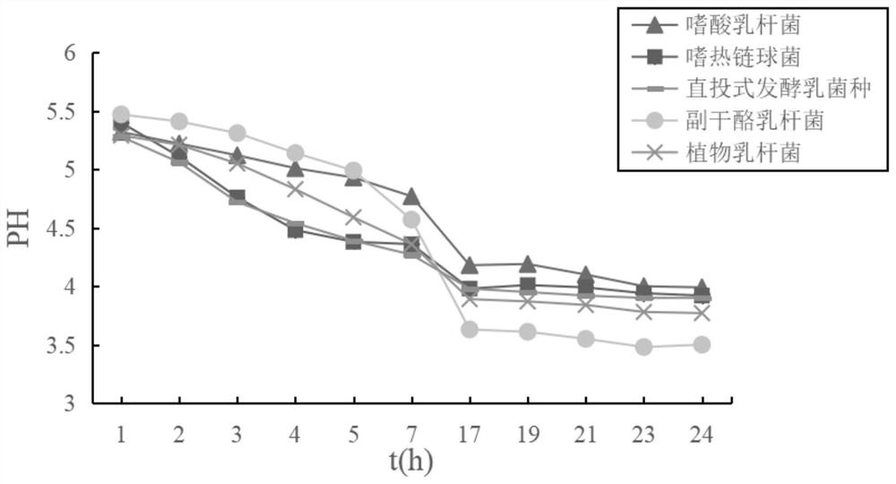 Bean curd preparation method for improving elasticity of bean curd based on sour pulp coagulator