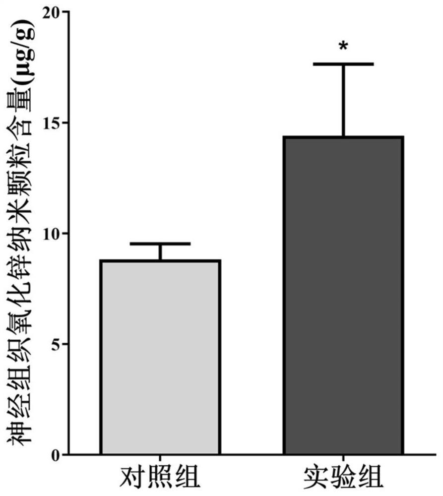 Administration method for transferring zinc oxide nano-particles into brain through gustatory nerves