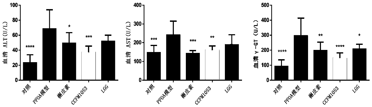 Multifunctional lactobacillus buchneri CCFM1053 for relieving PFOA toxic action as well as fermented food and application thereof