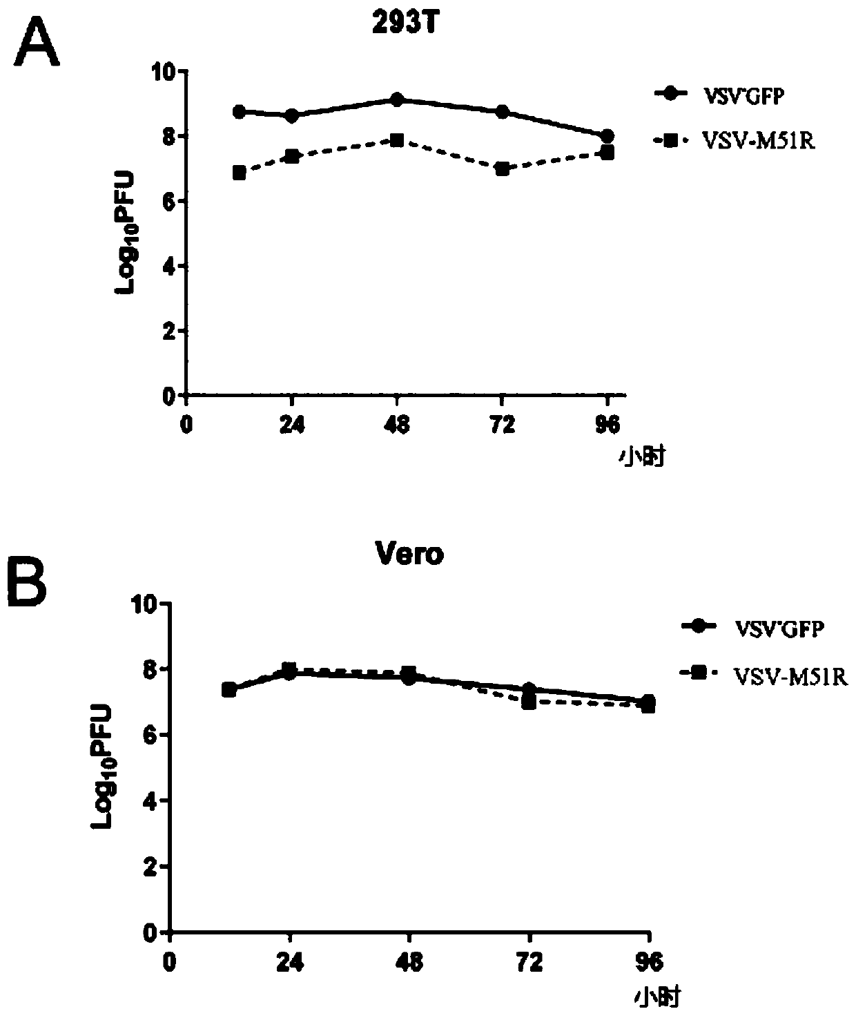 Attenuated virus vector system, application of attenuated virus vector system in preparation of anti-malignant tumor drugs and drug use method