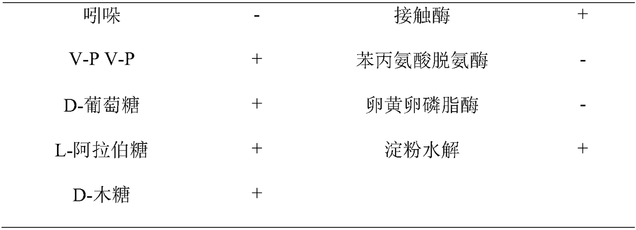 A Bacillus amyloliquefaciens strain w1 for controlling plant spider mites and its application