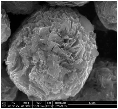 Lithium ion battery anode material with high specific capacity and preparation method of lithium ion battery anode material