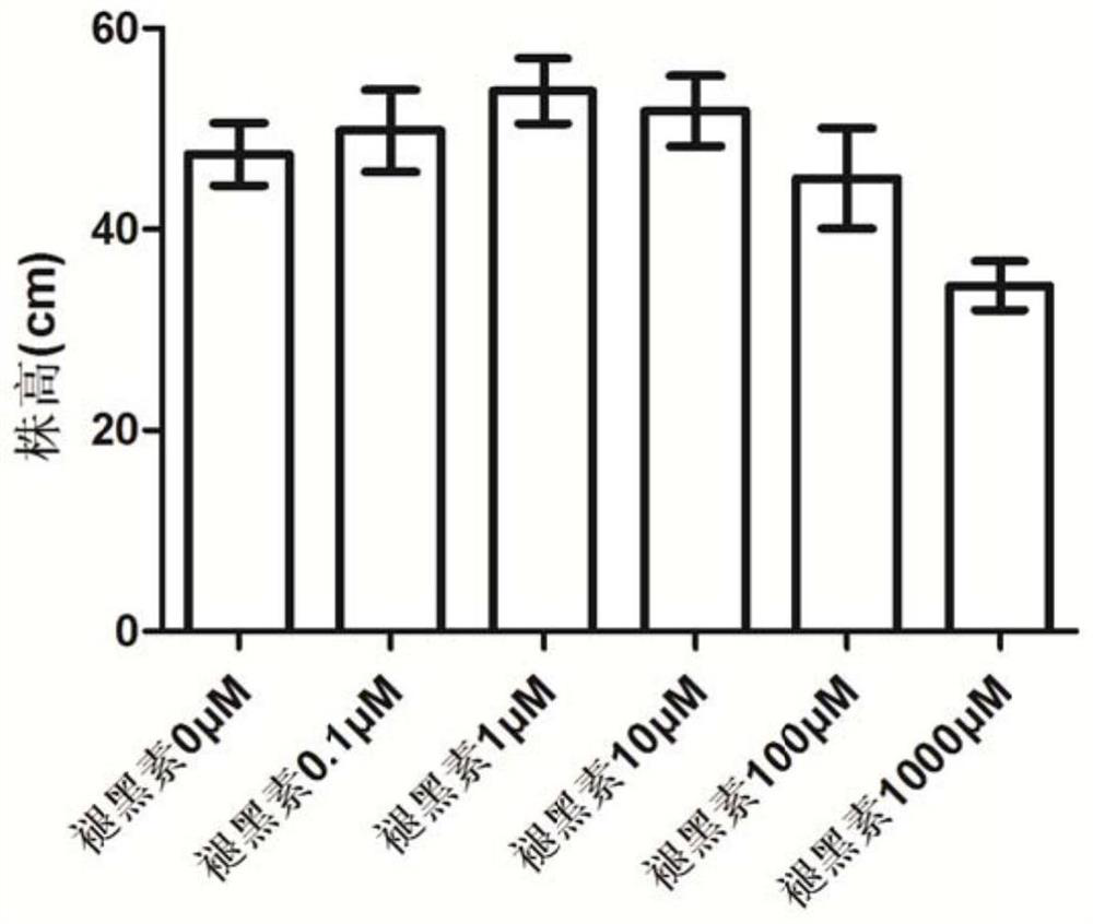 Rice culture solution and rice culture method