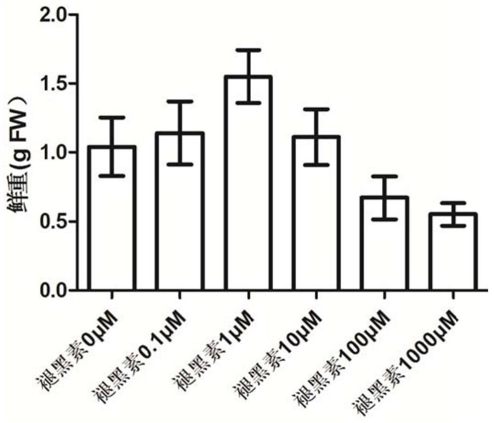 Rice culture solution and rice culture method