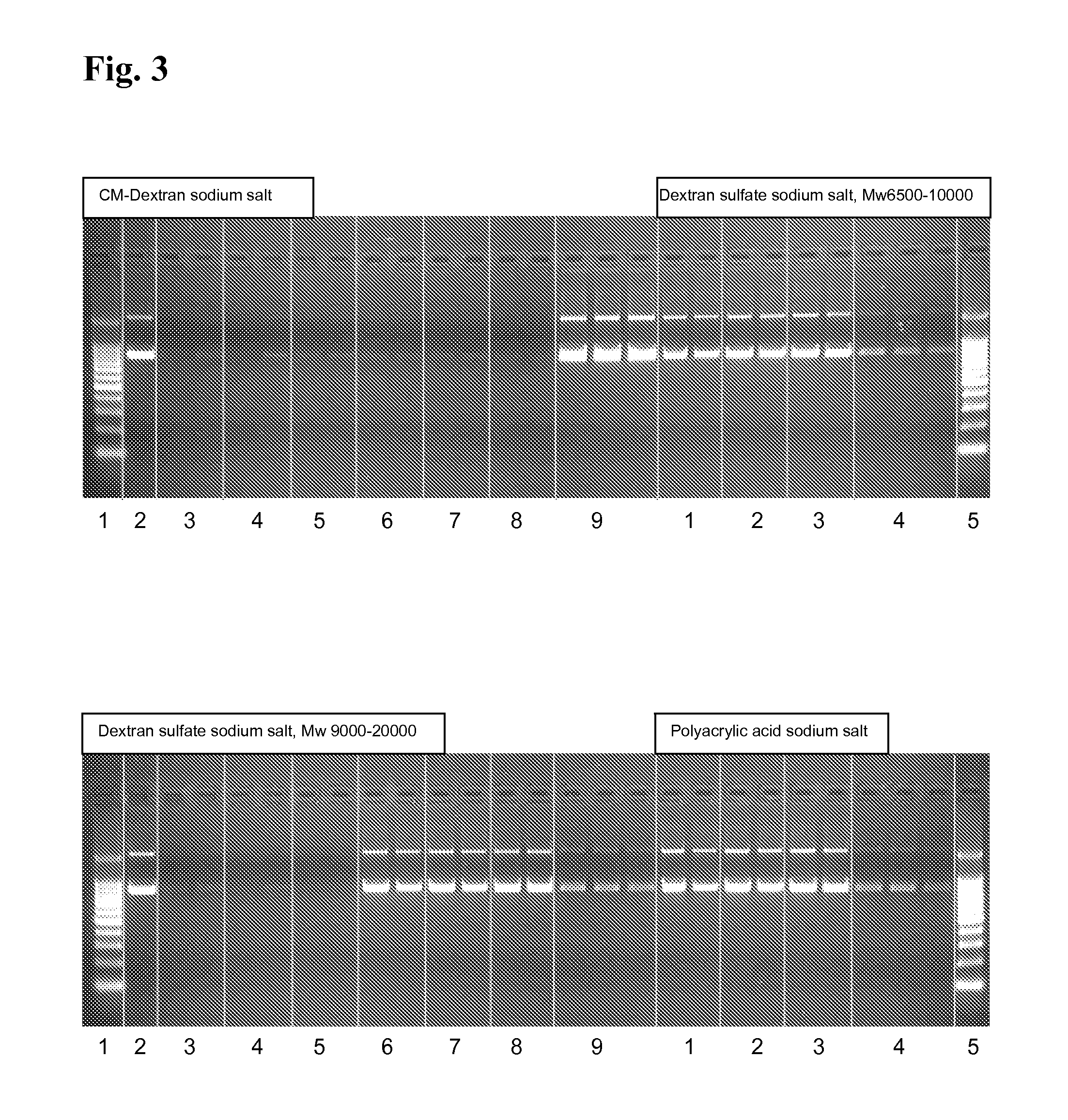 Compositions, methods, and kits for isolating and analyzing nucleic acids using an anion exchange material