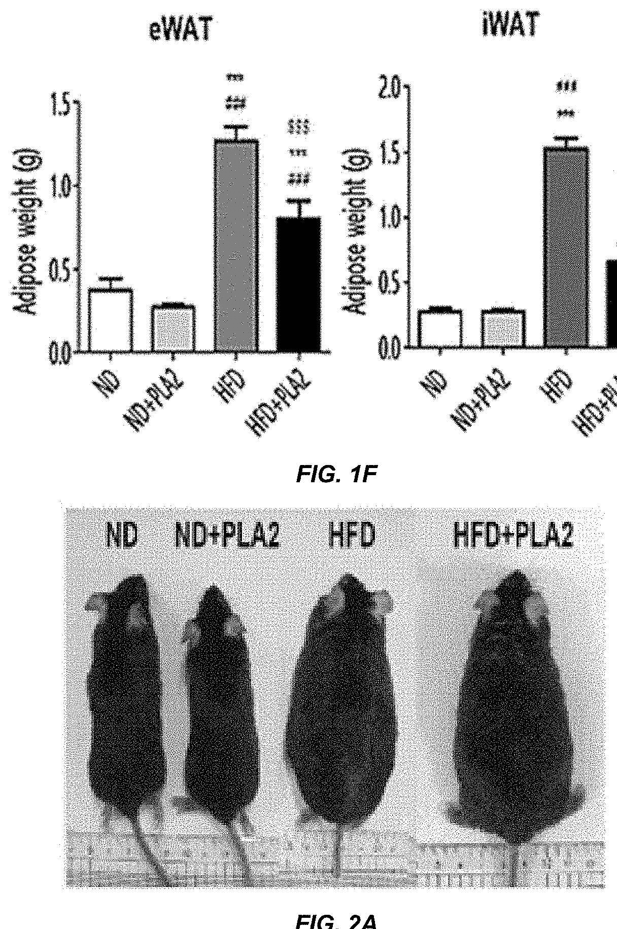 Composition for preventing or treating obesity, comprising phospholipase a2 as active ingredient