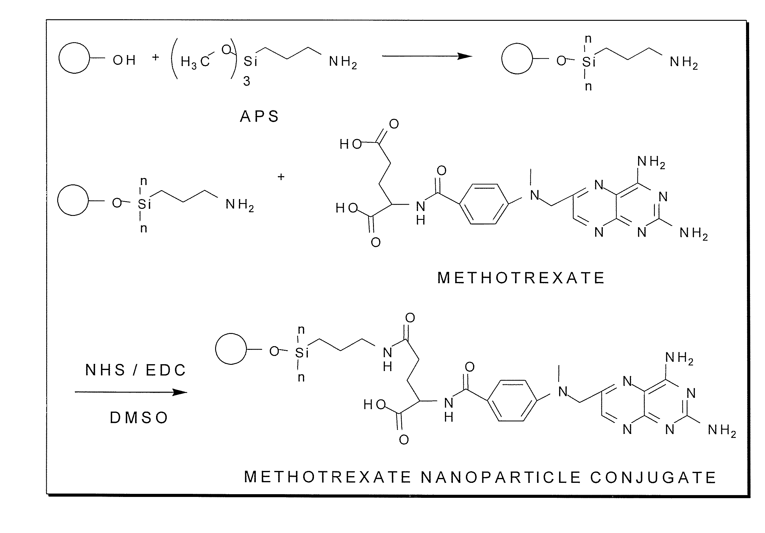 Methotrexate-modified nanoparticles and related methods