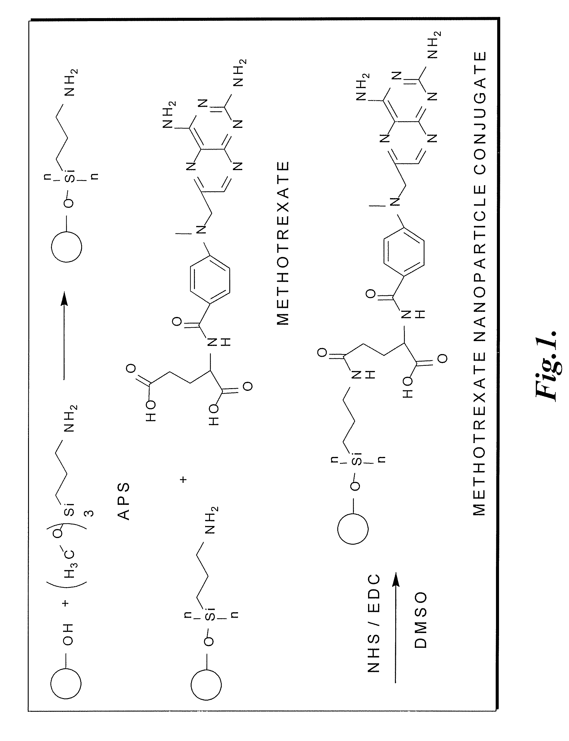 Methotrexate-modified nanoparticles and related methods