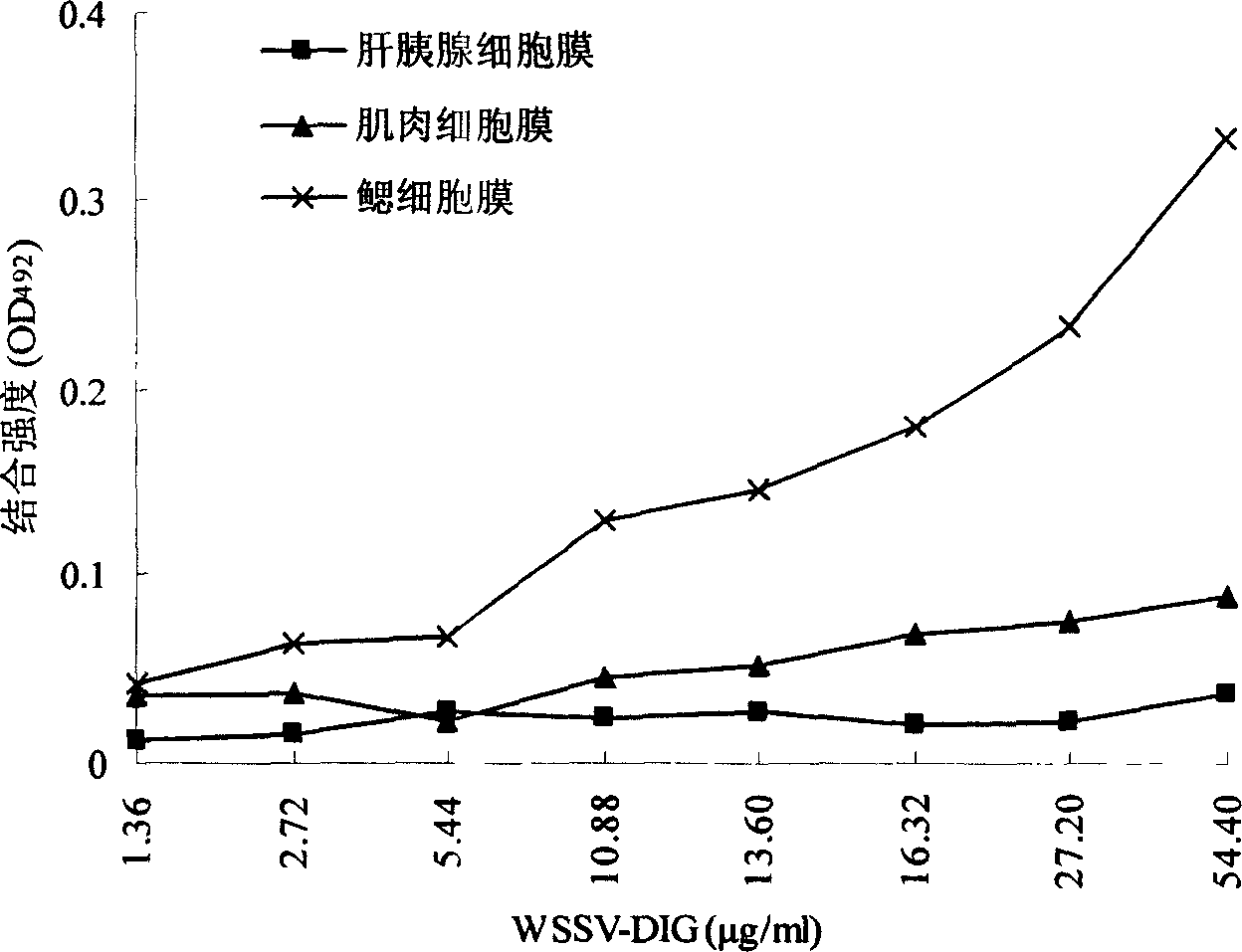 Method for screening acceptor blocker for controlling prawn virus infection