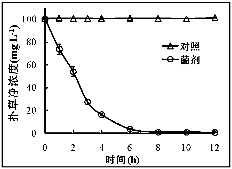 A bacterial agent for degrading triazine herbicides and its preparation method