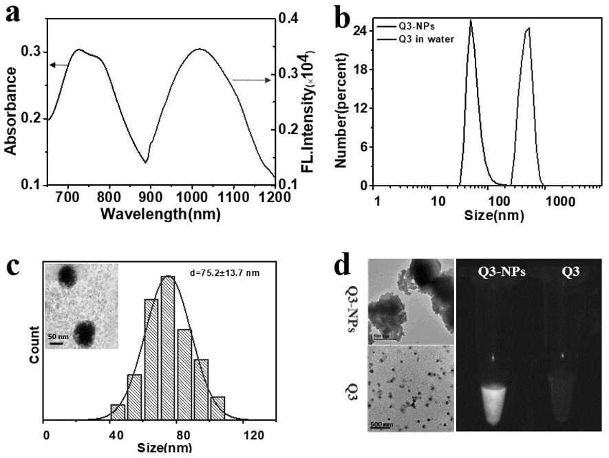 High-stability near-infrared second region nano-fluorescence probe and its preparation method and application