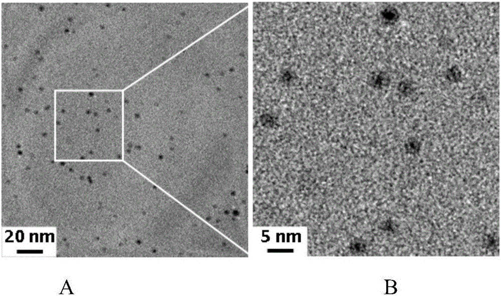Core-shell structured gold cluster-carbon dot nano-particles as well as preparation method and application thereof
