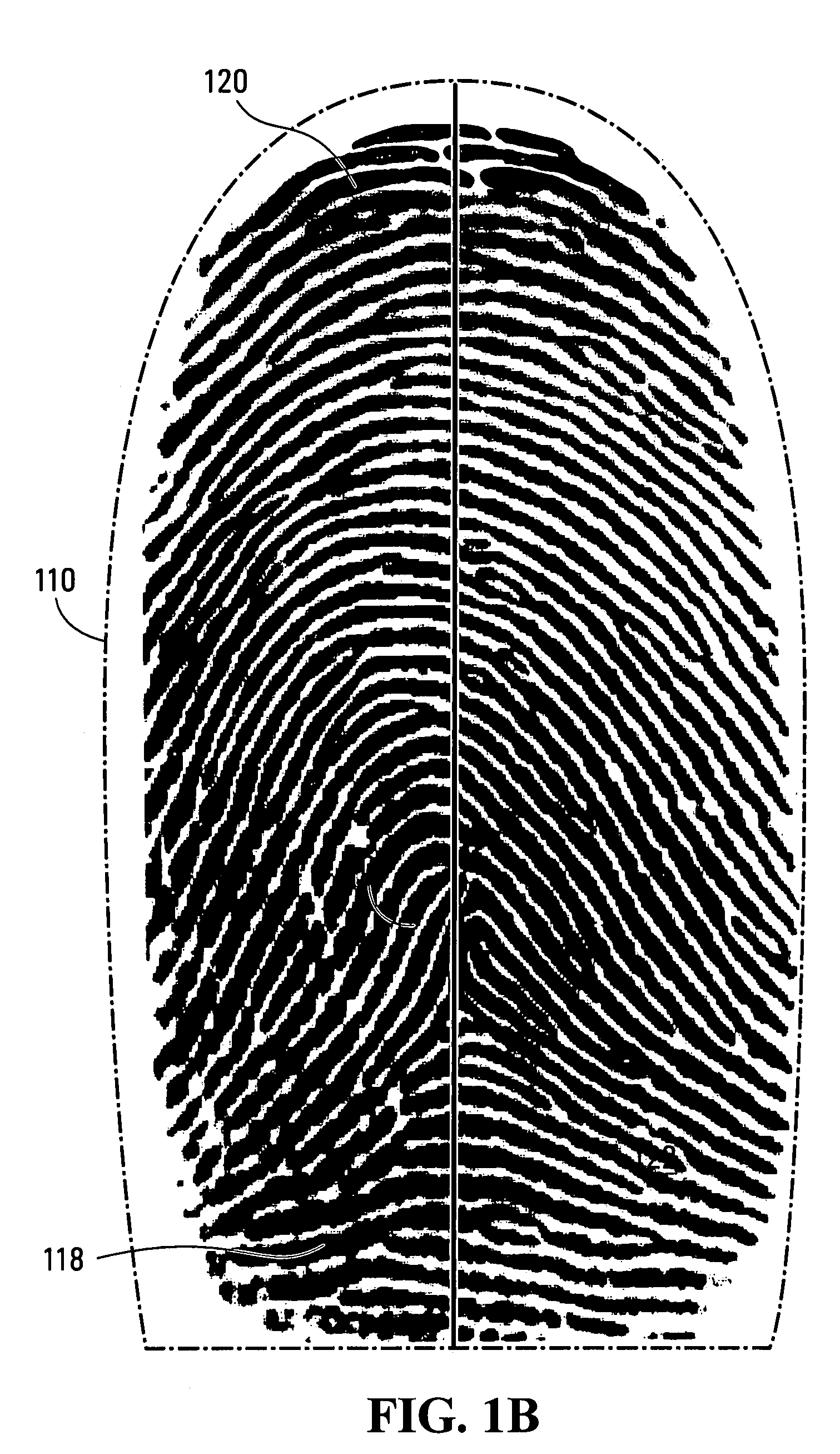 Methods and systems for automated fingerprint recognition
