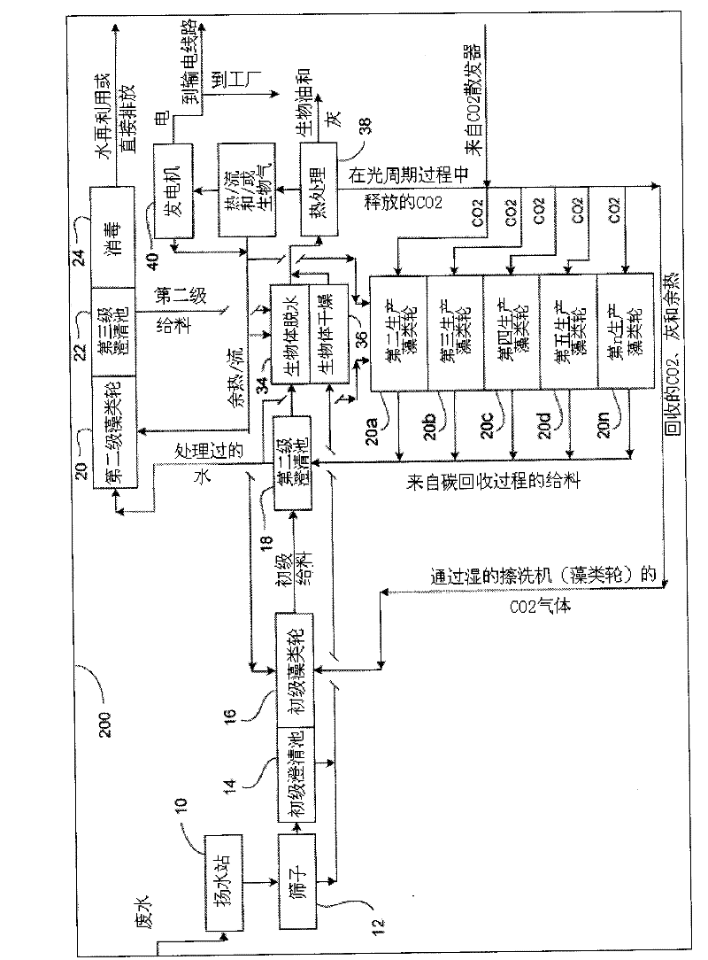 Apparatus and process for biological wastewater treatment