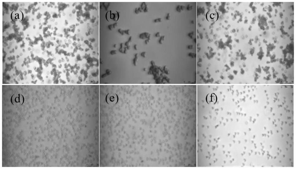 Mineralization reagent for shielding erythrocyte surface antigen and application thereof