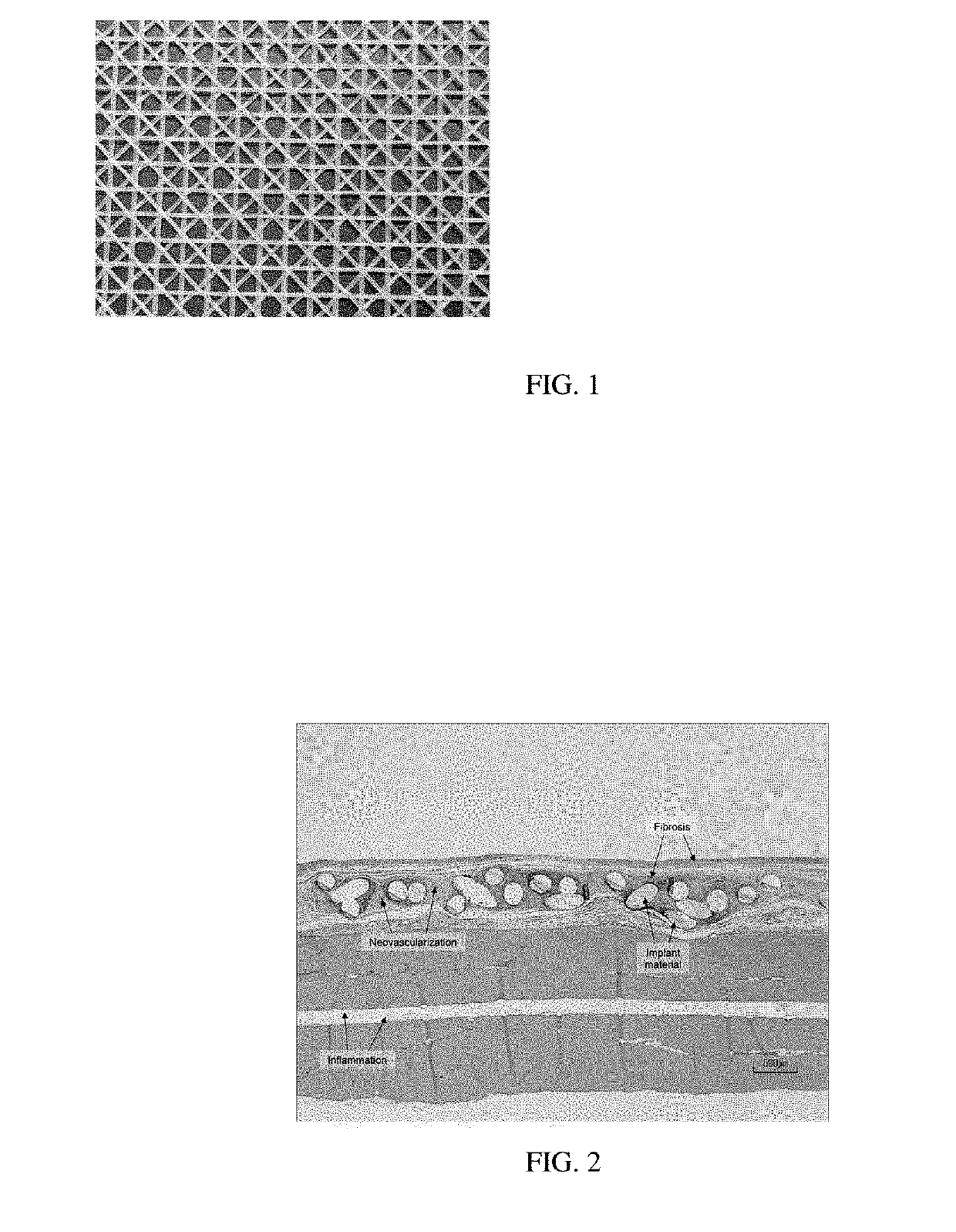 Yarns and fibers of poly(butylene succinate) and copolymers thereof, and methods of use therof