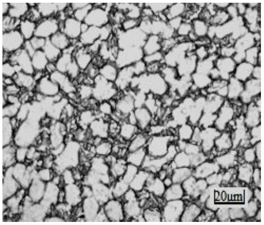 A Method for Improving the Microstructure Uniformity of Titanium Alloy Large-size Rods