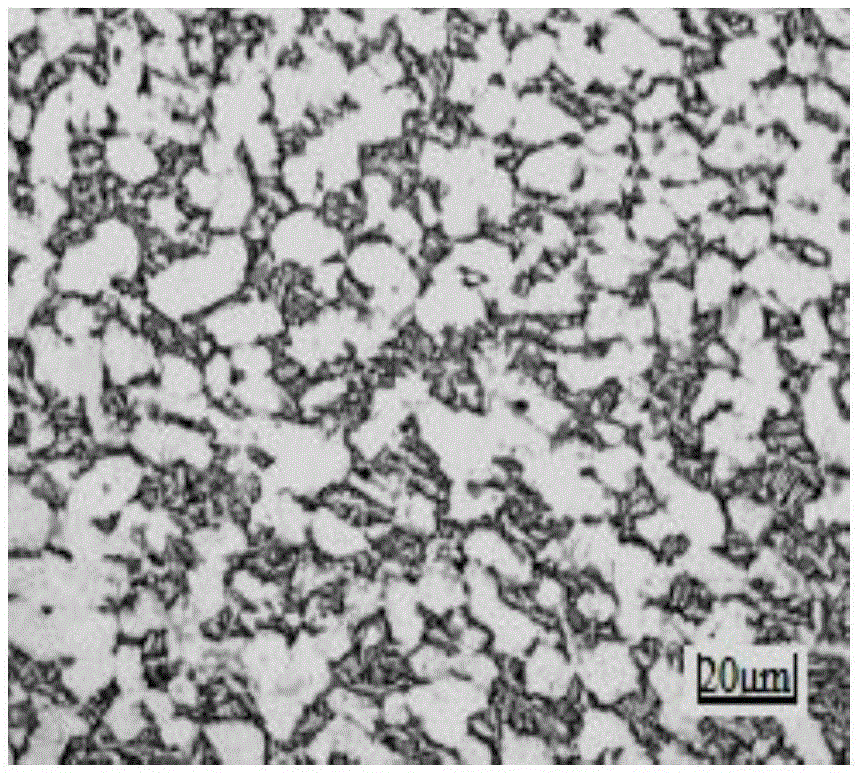 A Method for Improving the Microstructure Uniformity of Titanium Alloy Large-size Rods