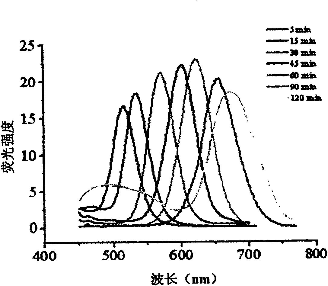 Method for water-phase rapid synthesis of CdTe nano crystal at warm condition