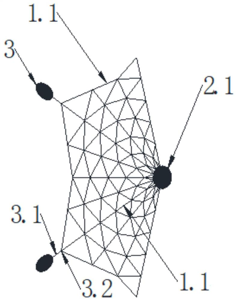 Throwing type net-shaped electric shock device