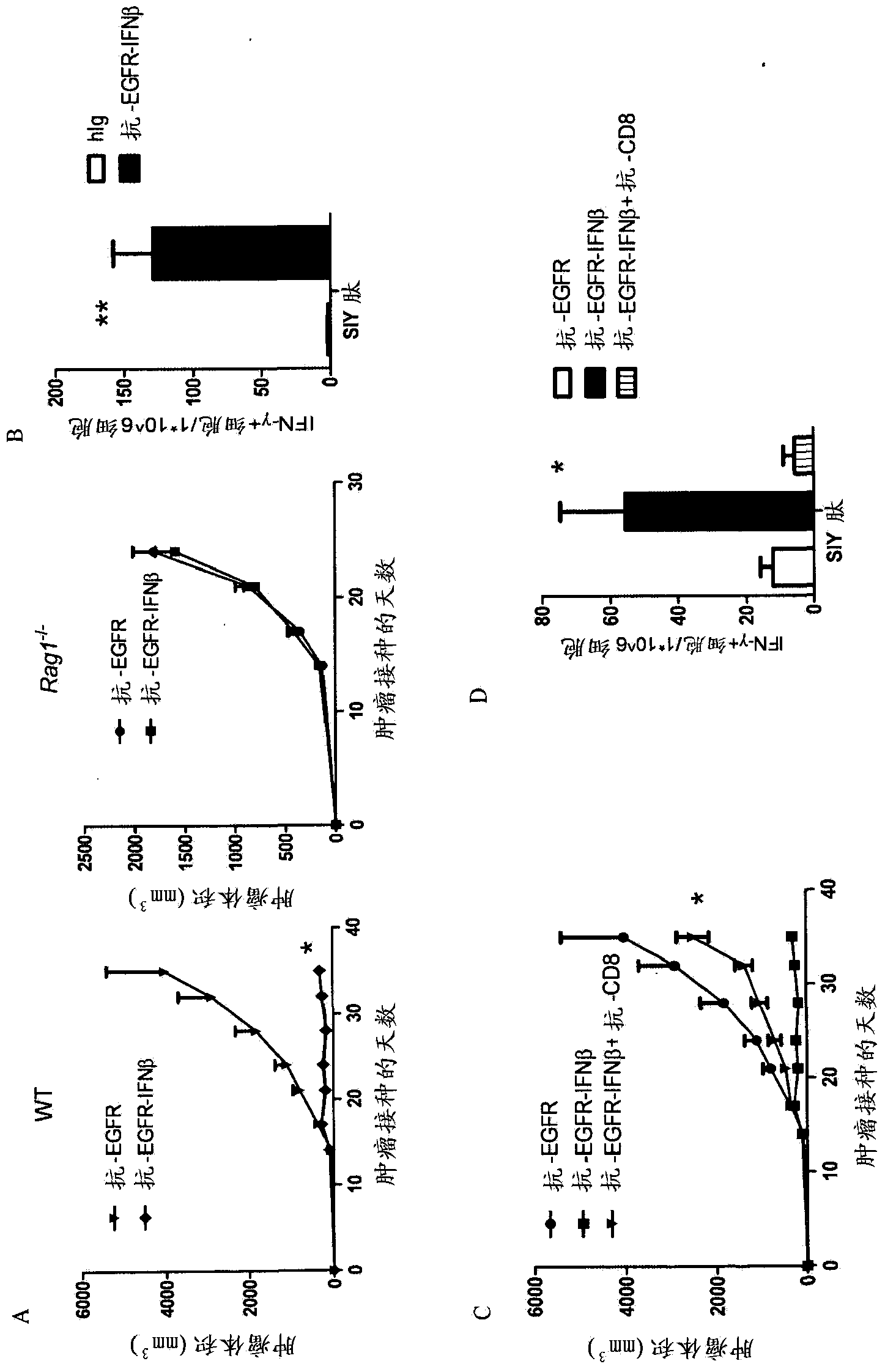 Use of interferon in treatment of tumor, and related product and method