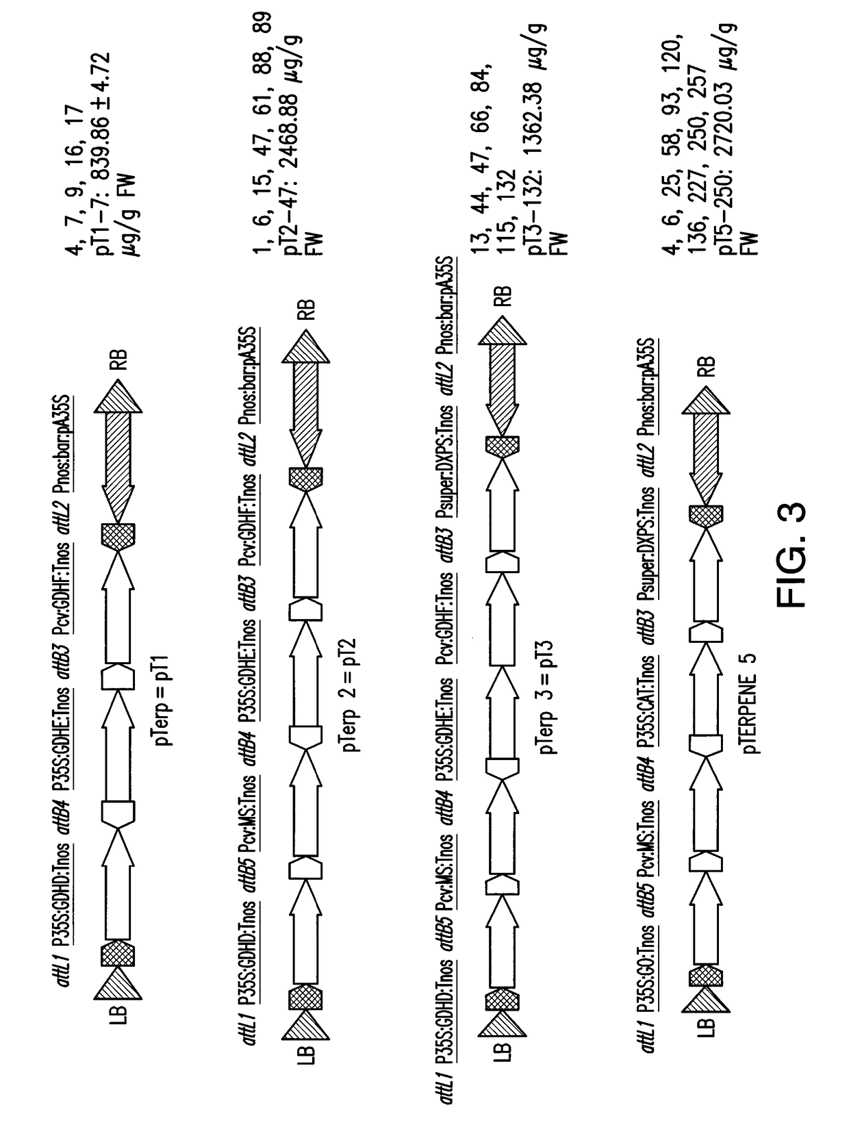 Rerouting the photorespiration pathway in plants for increasing bioproduct yield