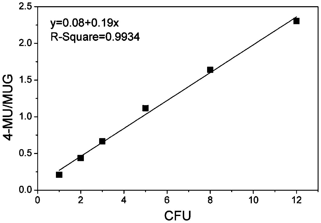 Method for rapidly detecting Escherichia coli