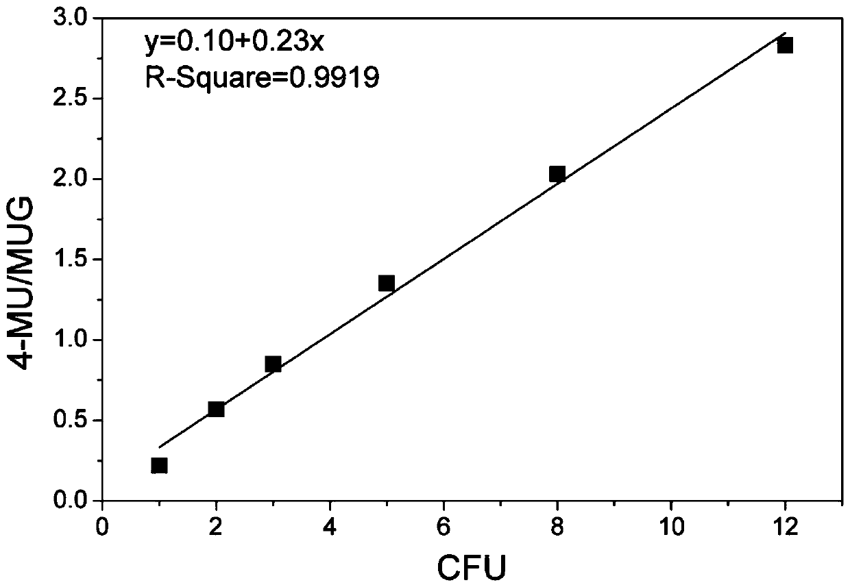 Method for rapidly detecting Escherichia coli